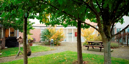 På billedet er 3 mellemstore træer på en lille græsplæne med fliser rundt om. I baggrunden er en rød murstensbygning med store vinduespartier og mellem hus og træer står et bordbænke sæt.