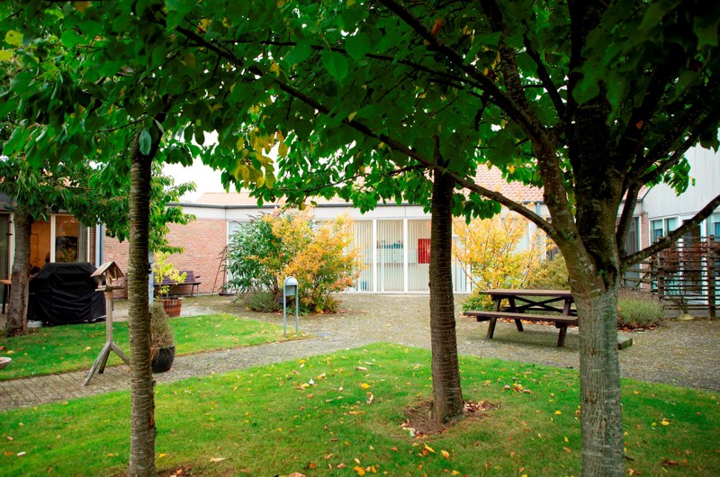På billedet er 3 mellemstore træer på en lille græsplæne med fliser rundt om. I baggrunden er en rød murstensbygning med store vinduespartier og mellem hus og træer står et bordbænke sæt.