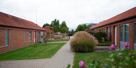 På billedet er et stisystem mellem to røde murstensbygninger i et plan med vinduer og planter omkring, mellem flisebelægningen er der græs.