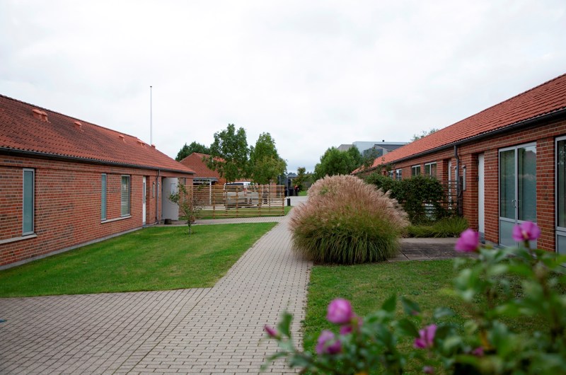 På billedet er et stisystem mellem to røde murstensbygninger i et plan med vinduer og planter omkring, mellem flisebelægningen er der græs.